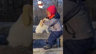 Baby Falls in Love with Cat   #cat #baby #shortsfeed #love #hug #cute #kitten