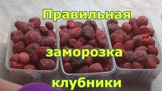 Как правильно заморозить клубнику на зиму, чтобы не слипались ягоды и каждая ягодка была отдельно