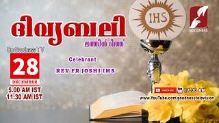 HOLY MASS|LATIN MASS| 28 DEC 2024 | REV FR JOSHI IMS |MALAYALAM QURBANA|TODAY MASS|GOODNESS TV