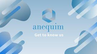 Get to know Anequim, find out how you can start working from home!