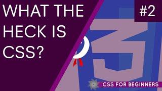 CSS Tutorial For Beginners - What is CSS?