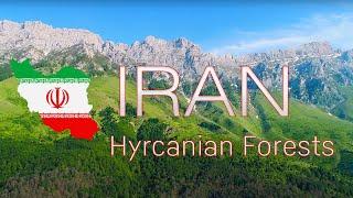 Beautiful Hyrcanian forests along the Caspian sea - Mazandaran