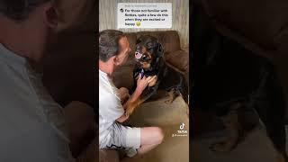 Rottweiler cries and attacks over nail clipping ️