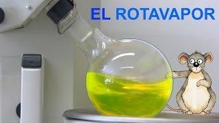 Rotavapor. Divulgación científica (IQOG-CSIC)