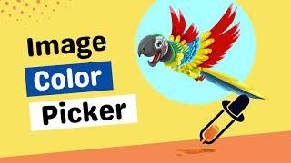 Find HEX or RGB Color Code from an Image | Color Picker Tool