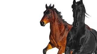 Lil nas x  old town road [8D AUDIO & BASS BOOSTED]