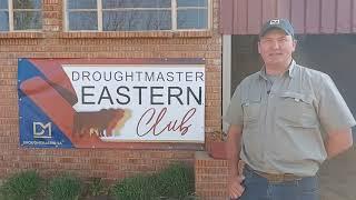 Chris van Brandwater Droughtmasters oor die Droughtmaster Eastern Club Sale