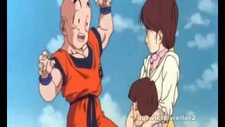 Krillin vs cell HD