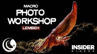 Join a Photo Workshop by Insider Divers
