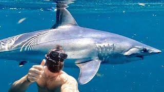  Face to Face with a Mako Shark - Tobago Day 1