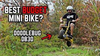 Building a Budget Doodlebug Mini Bike | Max Fun for Under $200!