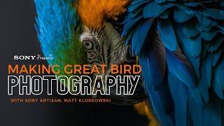 Sony Presents - Making Great Bird Photography with Matt Kloskowski