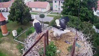 Začala škola, Novísek vede děti domů, ale žádná svačinka nebude, ještě bude odpolední vyučování 