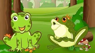 Các con vật cho bé | em học nói tiếng kêu động vật con gấu con ếch con vịt | Dạy trẻ thông minh sớm