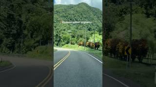 Scenic drive along the Hummingbird Highway, Belize #hummingbirdhighway #bucketlisttoursbelize