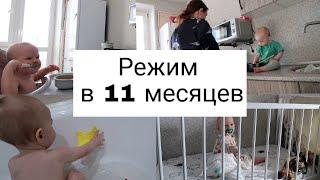 Режим Малыша в 11 Месяцев по Часам