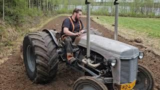 Ferguson Te-20 V8 Tractor Harrowing