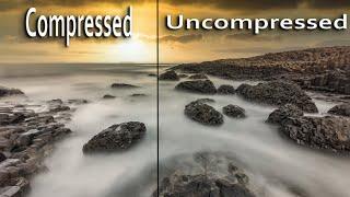 Uncompressed RAW vs Compressed RAW - What is the ACTUAL DIFFERENCE?