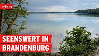 Einzigartige Seen in Brandenburg | Reportage