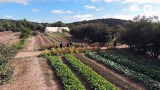 Especiales del Once - Tecate, un lugar por descubrir, con sabor a pan (17/01/2024)