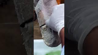  Complecated pedicure  #calluses #tonails #corn #pedicure #footcallusremoval #shortvideo #shorts