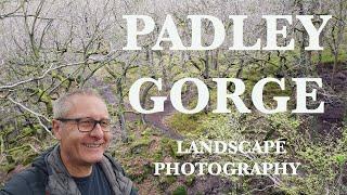 The wonderful Padley Gorge in the Peak District : Landscape Photography