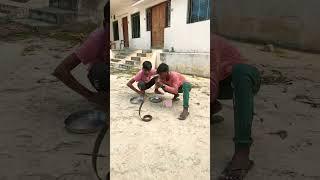 Nagin comedy funny video #viral#trending #comedy #short#video #Rb.gymlover