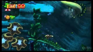 Donkey Kong Country: Topical Freeze Guide - Collectibles: Stage 4-4, Irate Eight