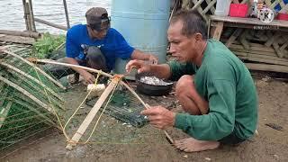 Bentol trap sa Alimango part-1 | catch a Crab's  using traditional techniques AMIGO | Don jamal tv