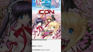 Visual Novel Translation Publishers' Biggest Pros And Cons