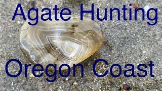 Agate Hunting on the Oregon Coast