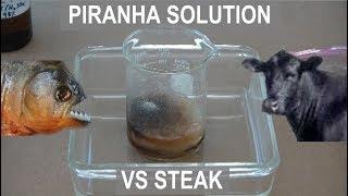 Piranha Solution vs Steak - ElementalMaker