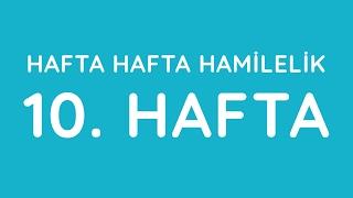 10.Hafta - Hafta Hafta Gebelik - Hamilelik | Anneysen.com