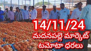 14-11-24 Madanapalle Tomato Market price Today || Today Tomato Market Rate in Madanapalle #today