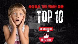 세상에서 가장 위험한 동물 순위 top 10