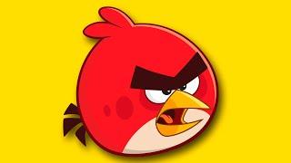 SI VEO UN ANGRY BIRD SE ACABA EL VIDEO | GOOGLE ENOJADO #Shorts