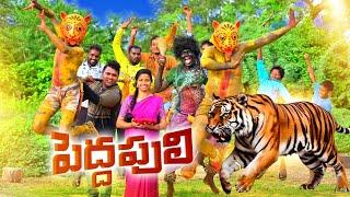 పెద్దపులి //village ultimate comedy //5star md//Pashi Videos//peddapuli videos 2024//trending