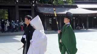 Traditional Japanese Wedding at Meiji Shrine in Tokyo!