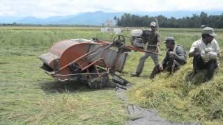 Mesin Pemanen Padi Lacandu