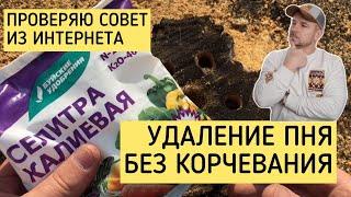 Проверка двух способов из интернета избавиться от пня. При помощи огня и калиевой селитры.