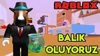  Balık Oluyoruz  | Flop | Roblox Türkçe