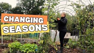 Clearing Beds And Suprise Harvests! | Allotment Gardening UK