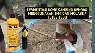 CARA FERMENTASI KOHE KAMBING HANYA MENGGUNAKAN EM4 DAN MOLASE ATAU  TETES TEBU