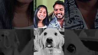  Couples Reaction Video  Funny Video Reaction #laugh #reaction #funnyvideo #shorts #shortsfeed