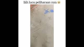 #Meme #Memlucu #Memek #hehehe