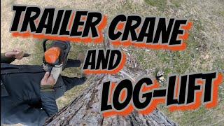 TRAILER CRANE AND LOG-LIFT / CUTTING TREES / FAKE LOGGING