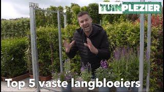 Arjans Top 5 vaste langbloeiers | TUINPLEZIER