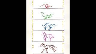 How do you animate animals? #howtoart #animationtutorial #arttutorial #horse #squirrel #dog #cat