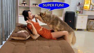 Aww!!Kwan Vs TOTO, SUPER PRANK TOTO,When Kwan eating favorite food in front TOTO,what will happen?