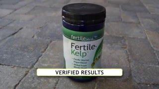 Fertile Kelp - Eco-Friendly Plant Boosters